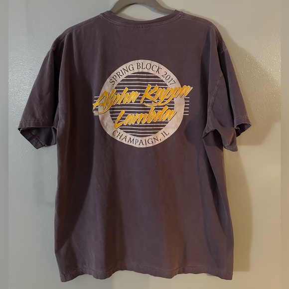 Purple Alpha Kappa Lamba x Phi Mu Spring Block Pocket Comfort Colors Tee Size L - Picture 5 of 6